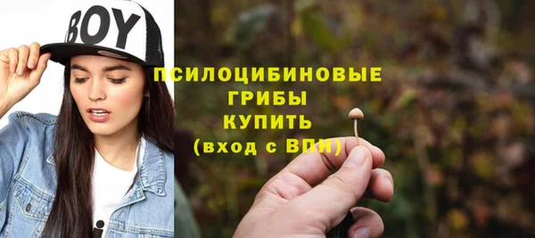 Альфа ПВП Нягань