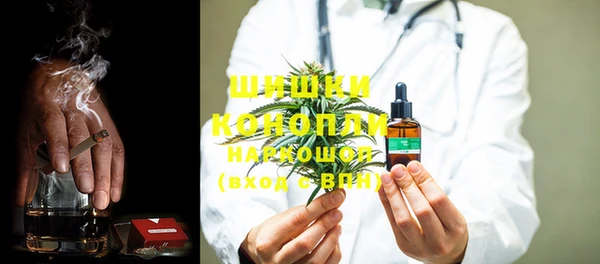 гашик Калининец