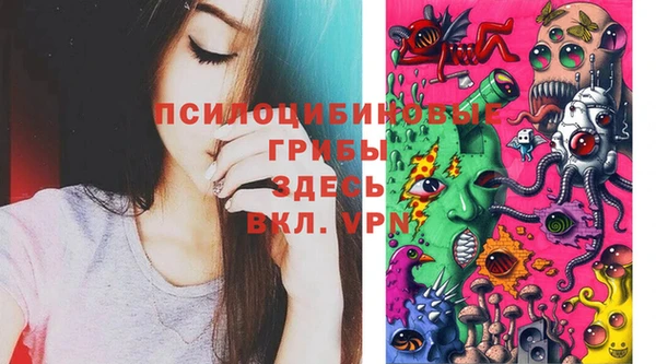 соль ск Остров