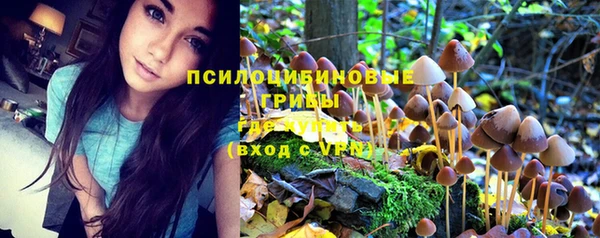 амф Новозыбков