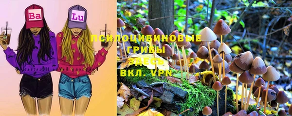 соль ск Остров