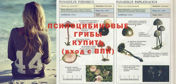 apvp Осташков