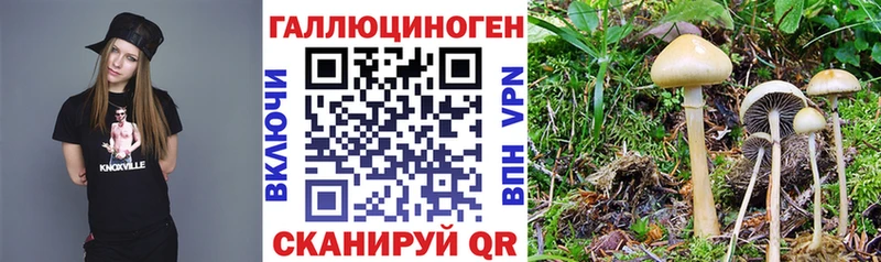 сколько стоит  нарко площадка наркотические препараты  Псилоцибиновые грибы мухоморы  Калязин 